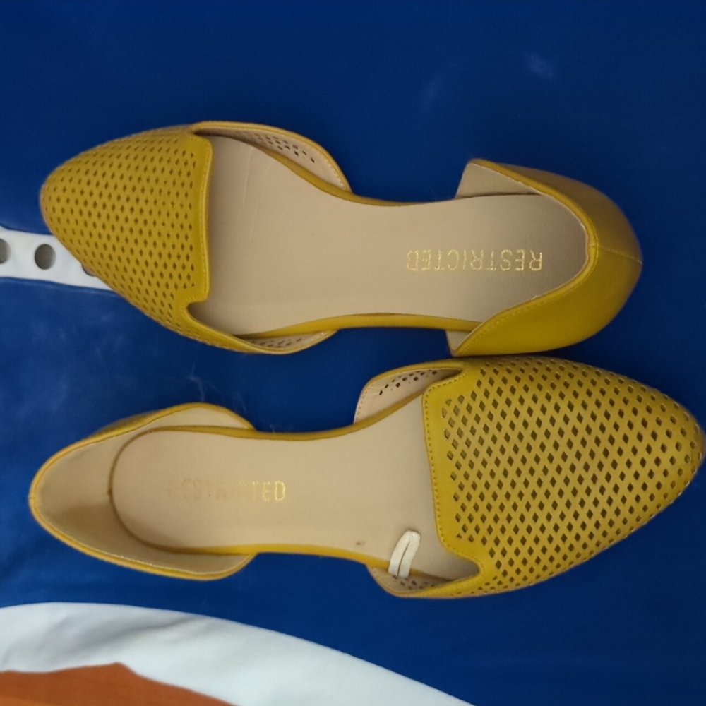 Pointy toe flats